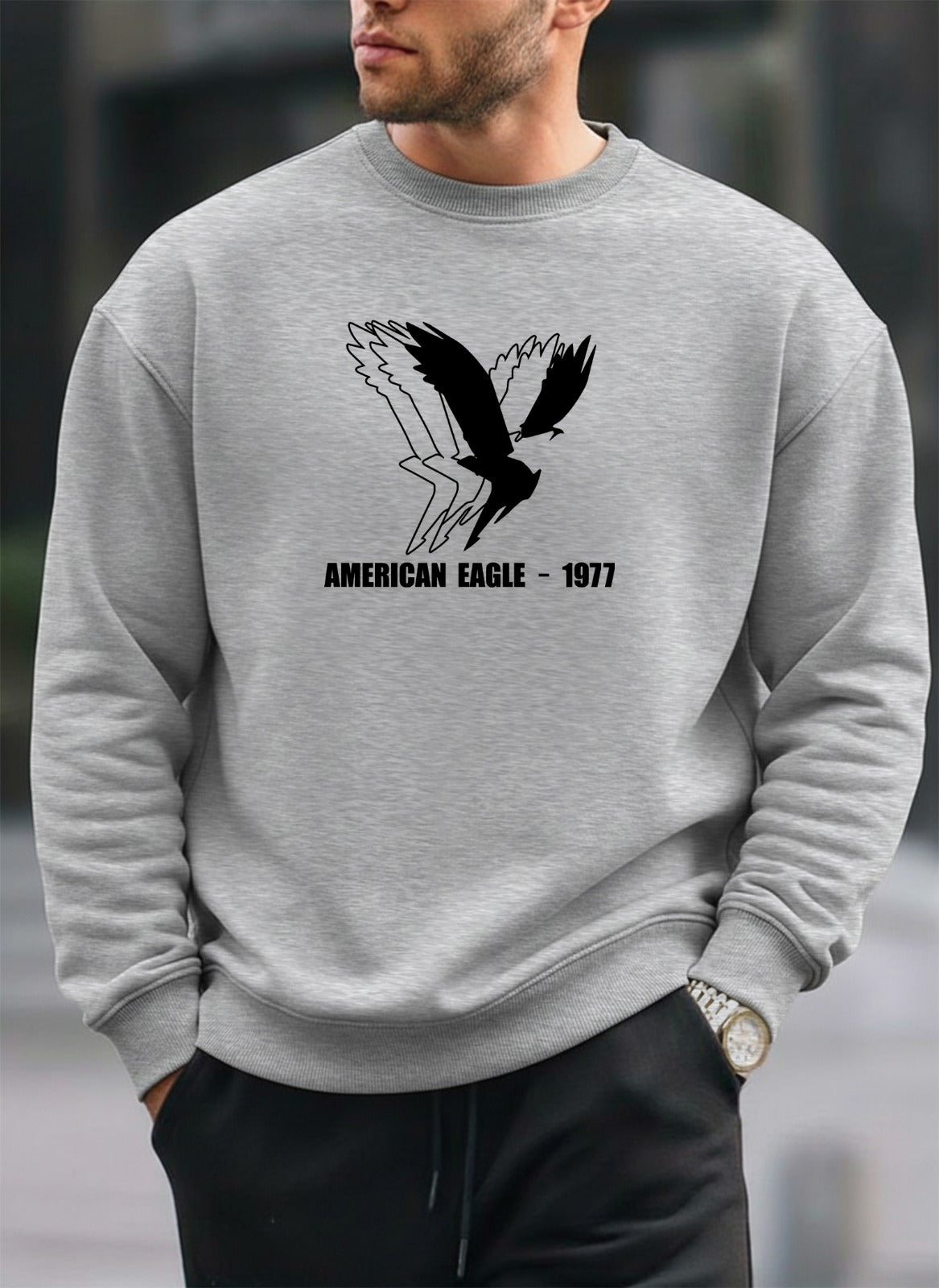 New American Eagle oversized round sweatshirt