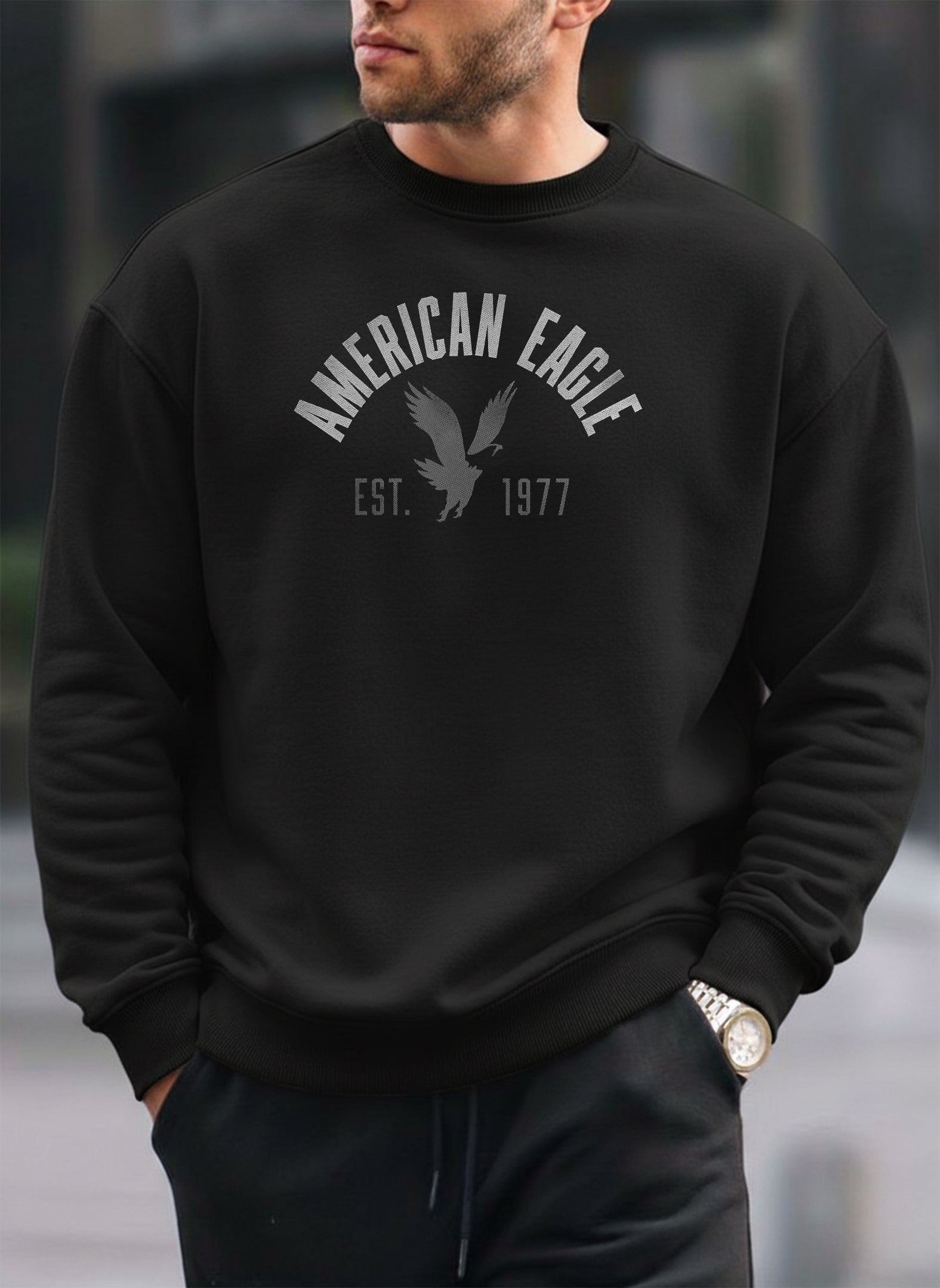 American Eagle oversized round sweatshirt