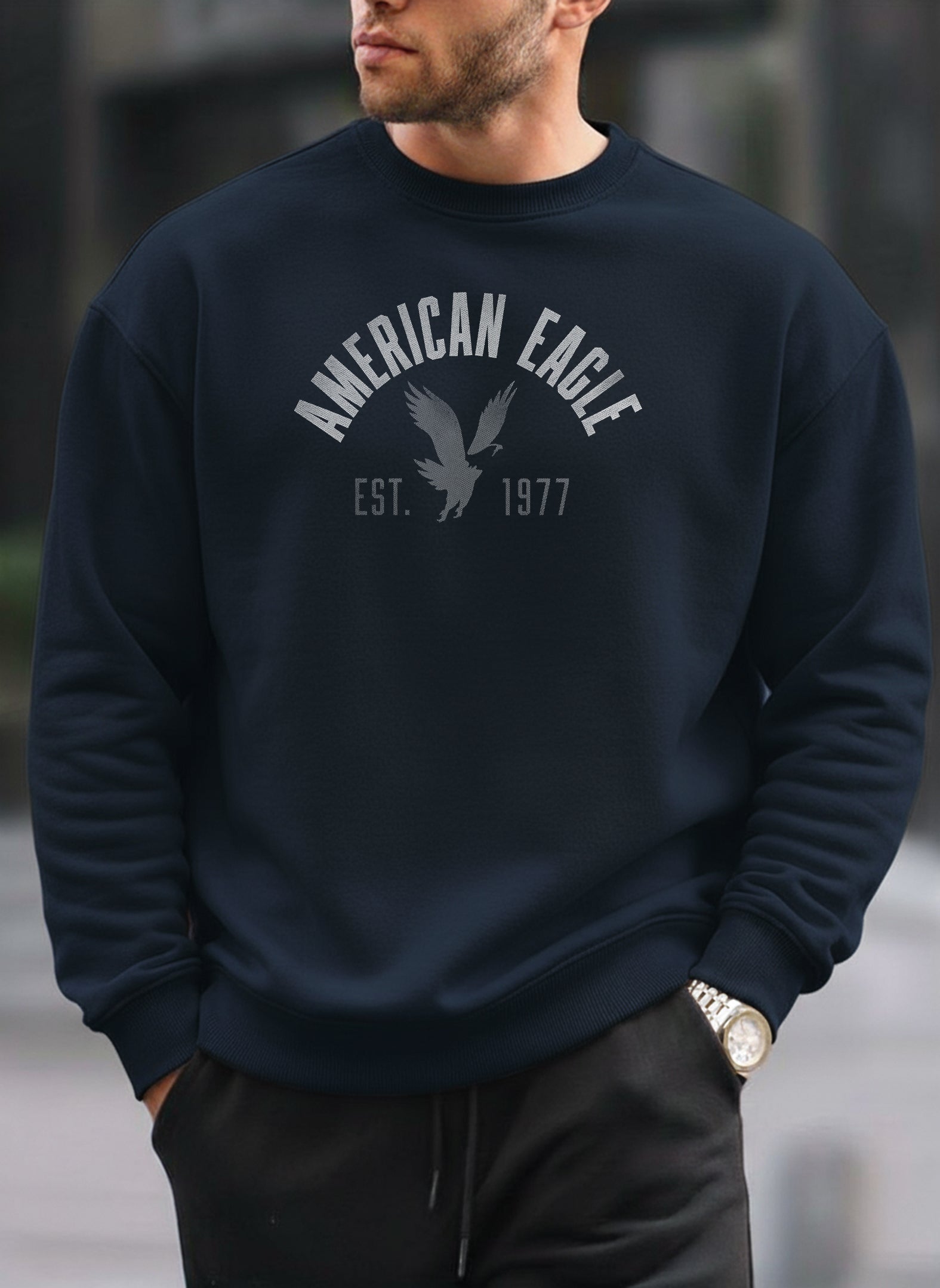 American Eagle oversized round sweatshirt