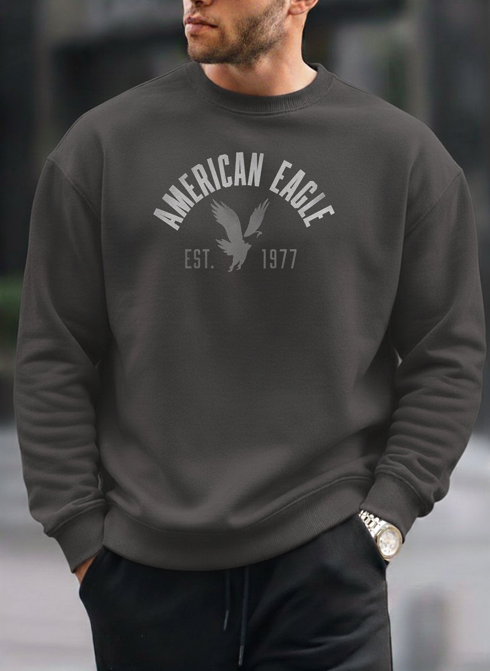 American Eagle oversized round sweatshirt