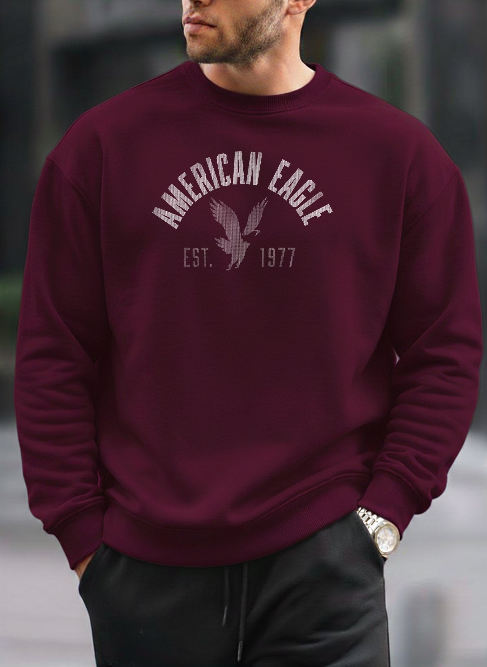 American Eagle oversized round sweatshirt