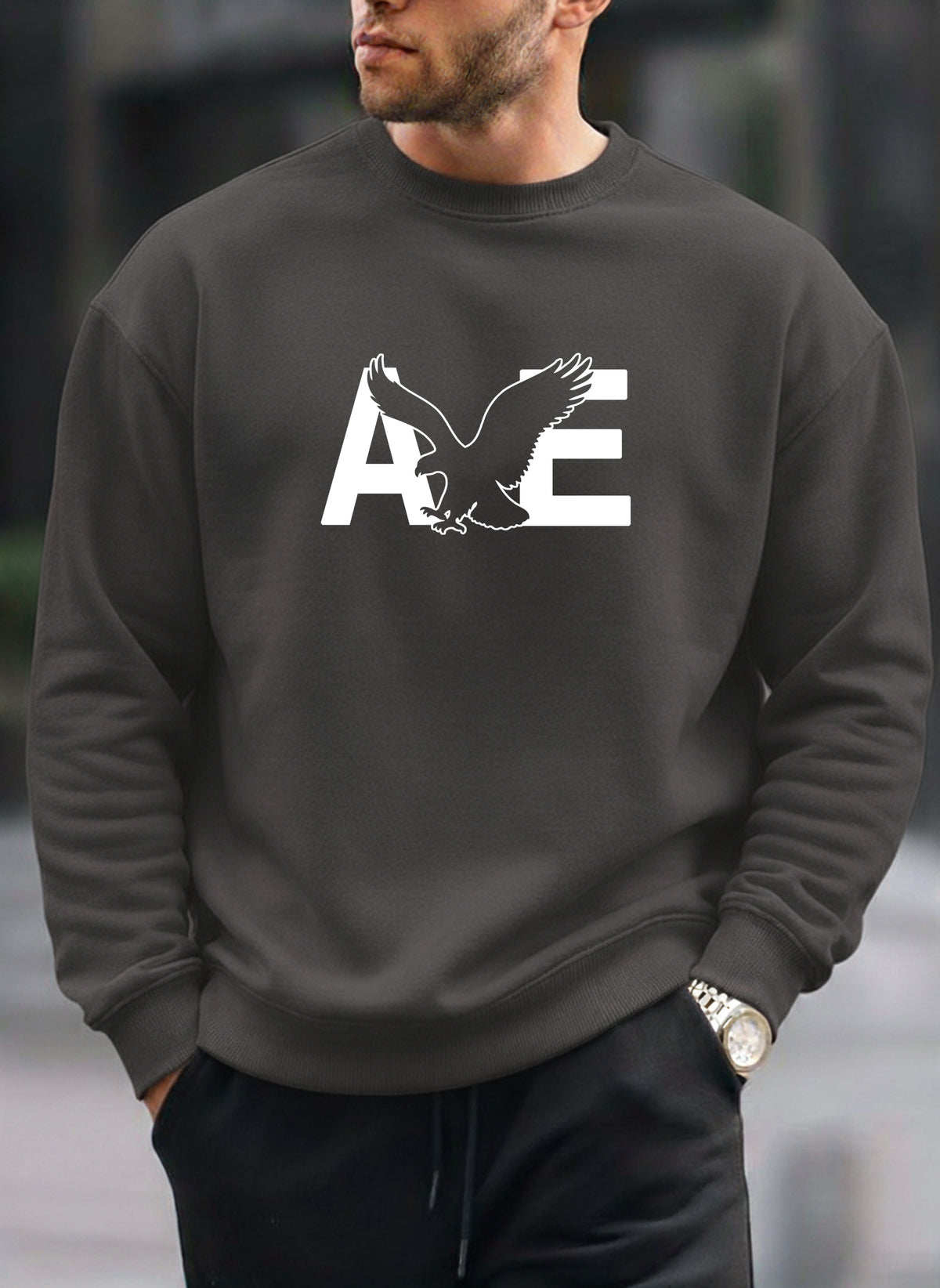 American Eagle new oversized round sweatshirt