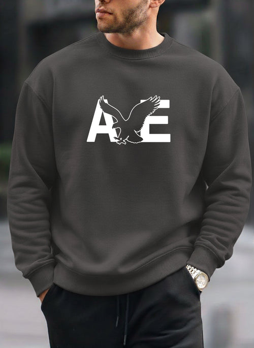 American Eagle new oversized round sweatshirt