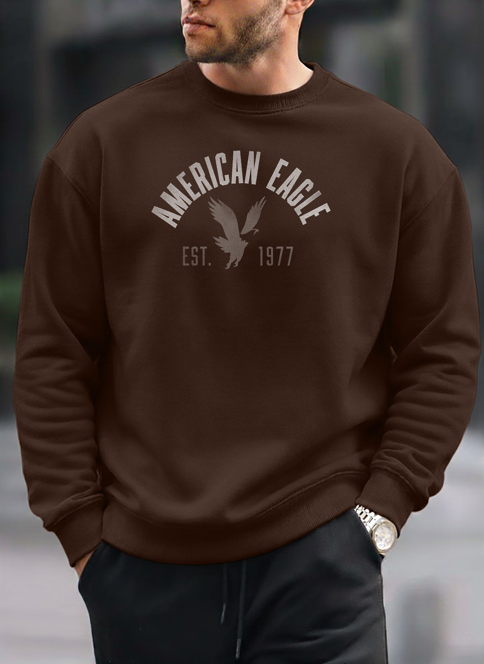 American Eagle oversized round sweatshirt