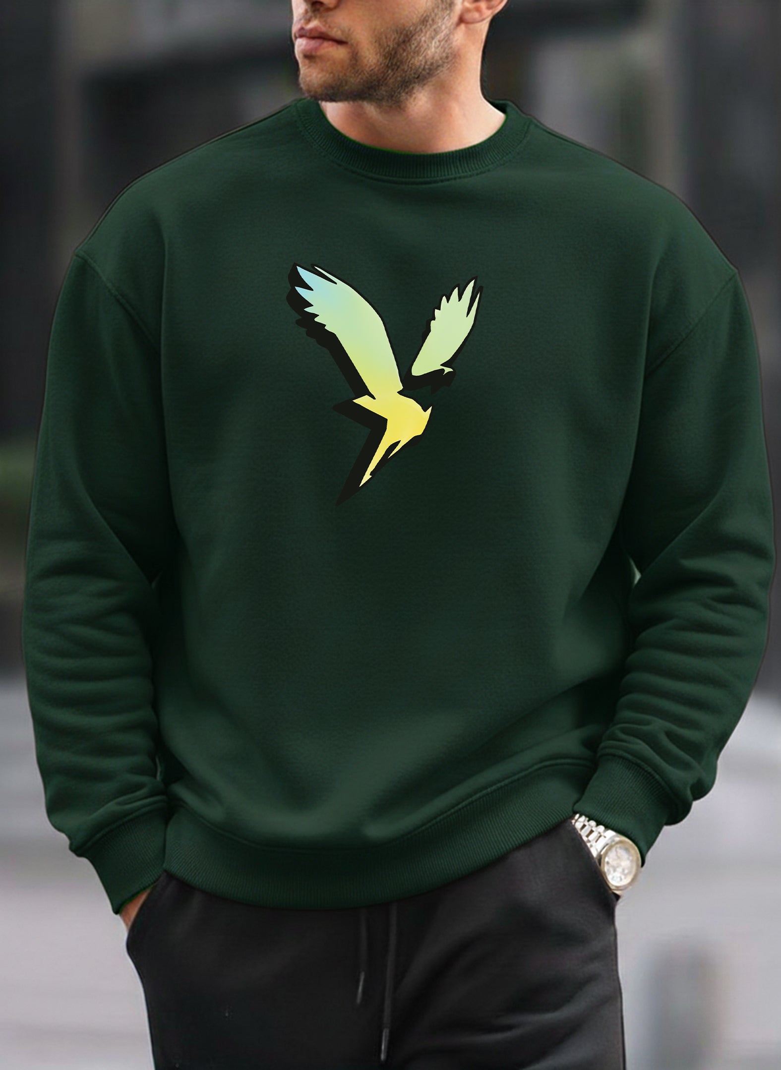 American Eagle oversized round sweatshirt