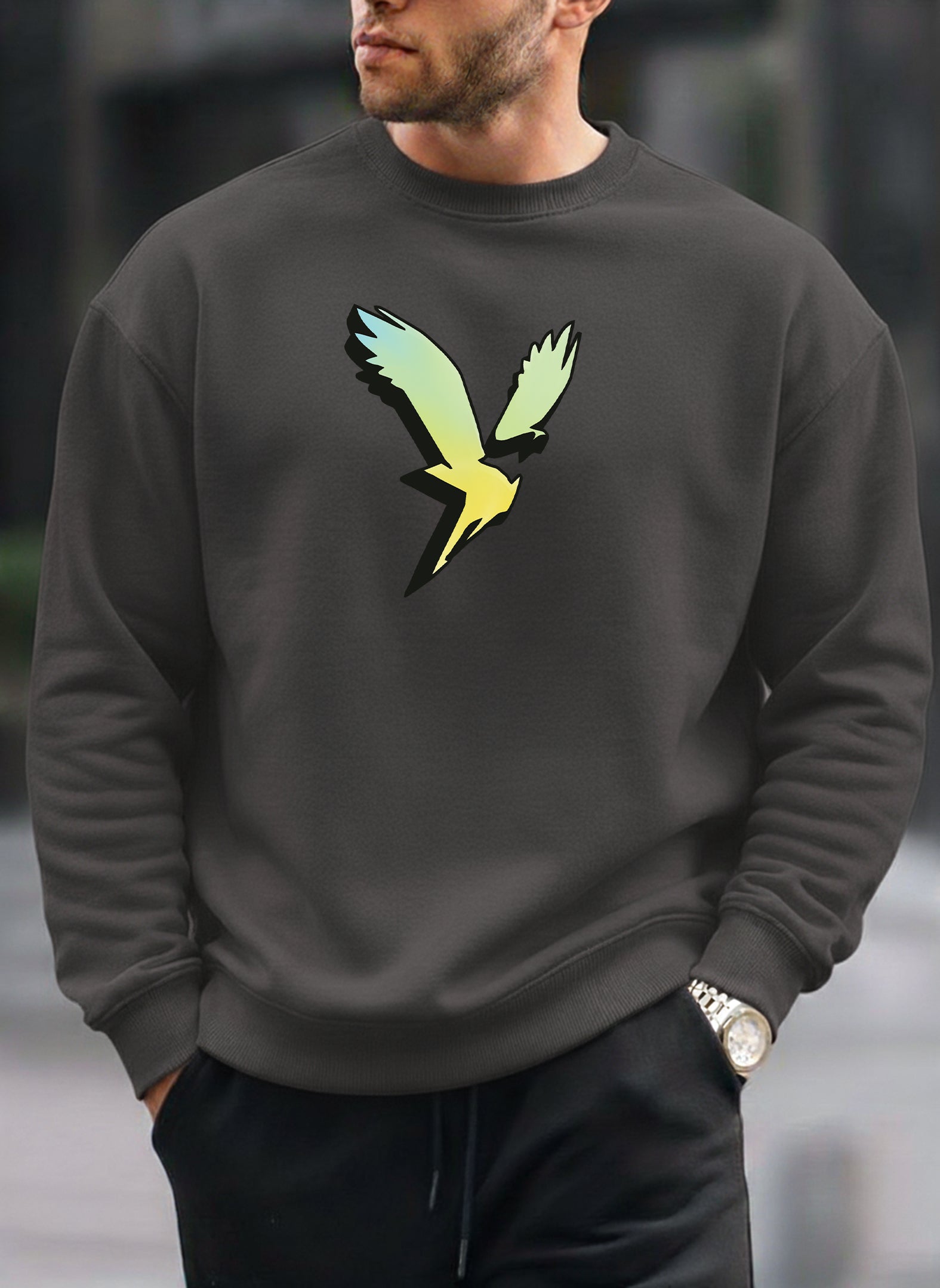 American Eagle oversized round sweatshirt