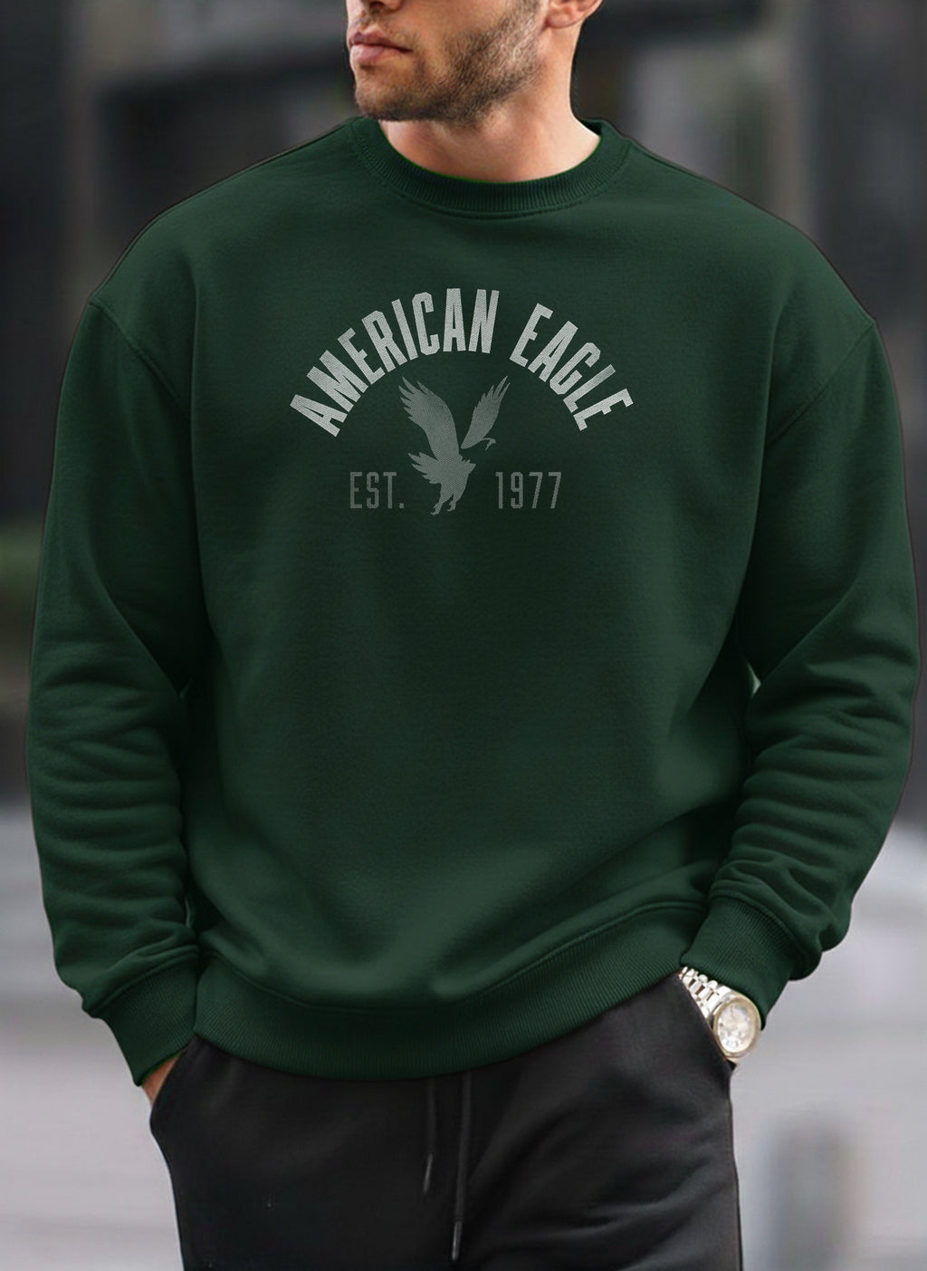 American Eagle oversized round sweatshirt