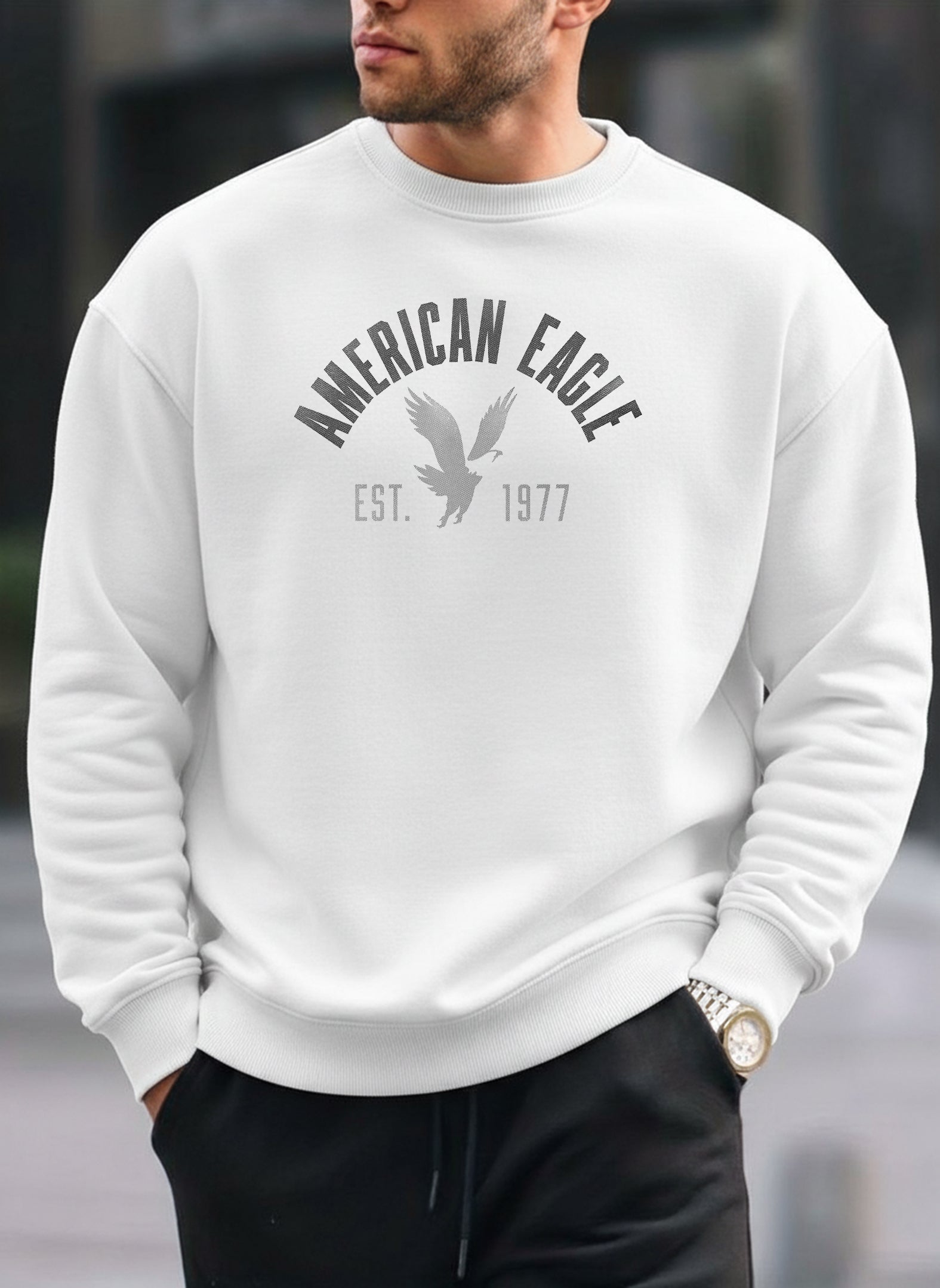 American Eagle oversized round sweatshirt