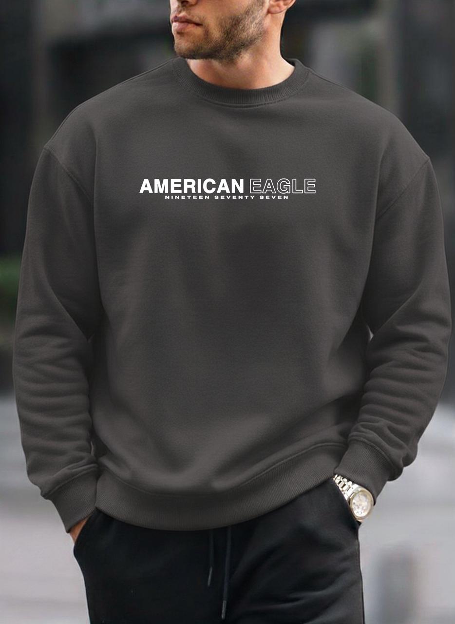 American Eagle oversized round sweatshirt