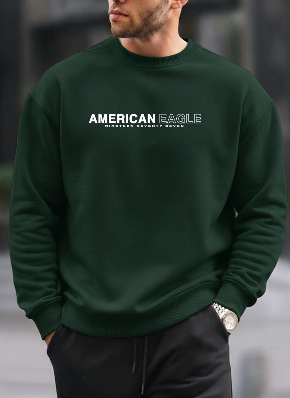 American Eagle oversized round sweatshirt