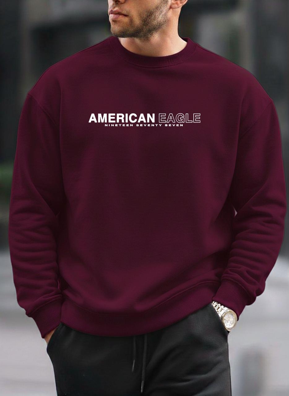 American Eagle oversized round sweatshirt
