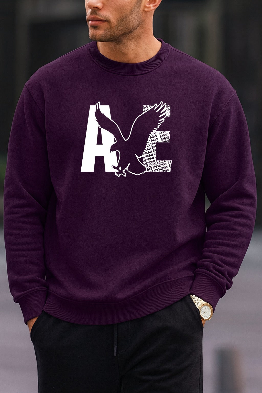 New American Eagle oversized round sweatshirt