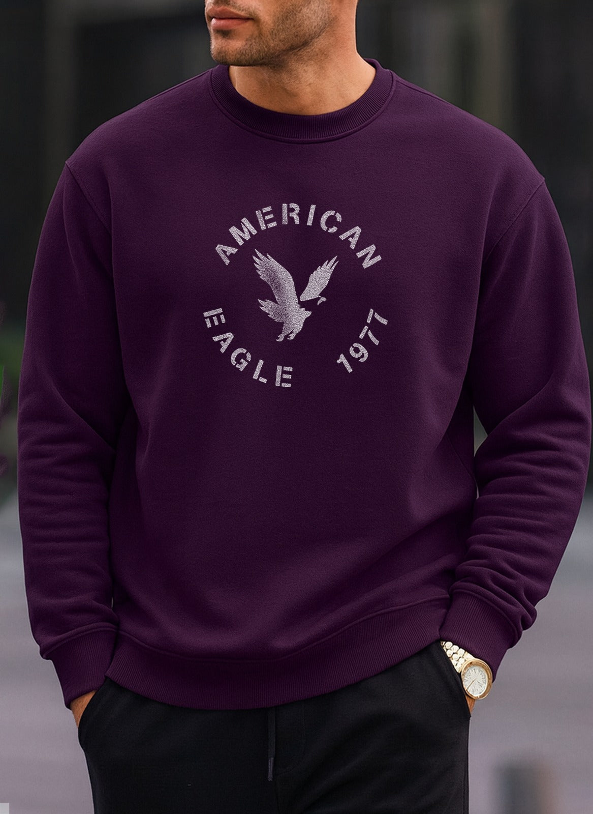 American Eagle 1977 oversized round sweatshirt