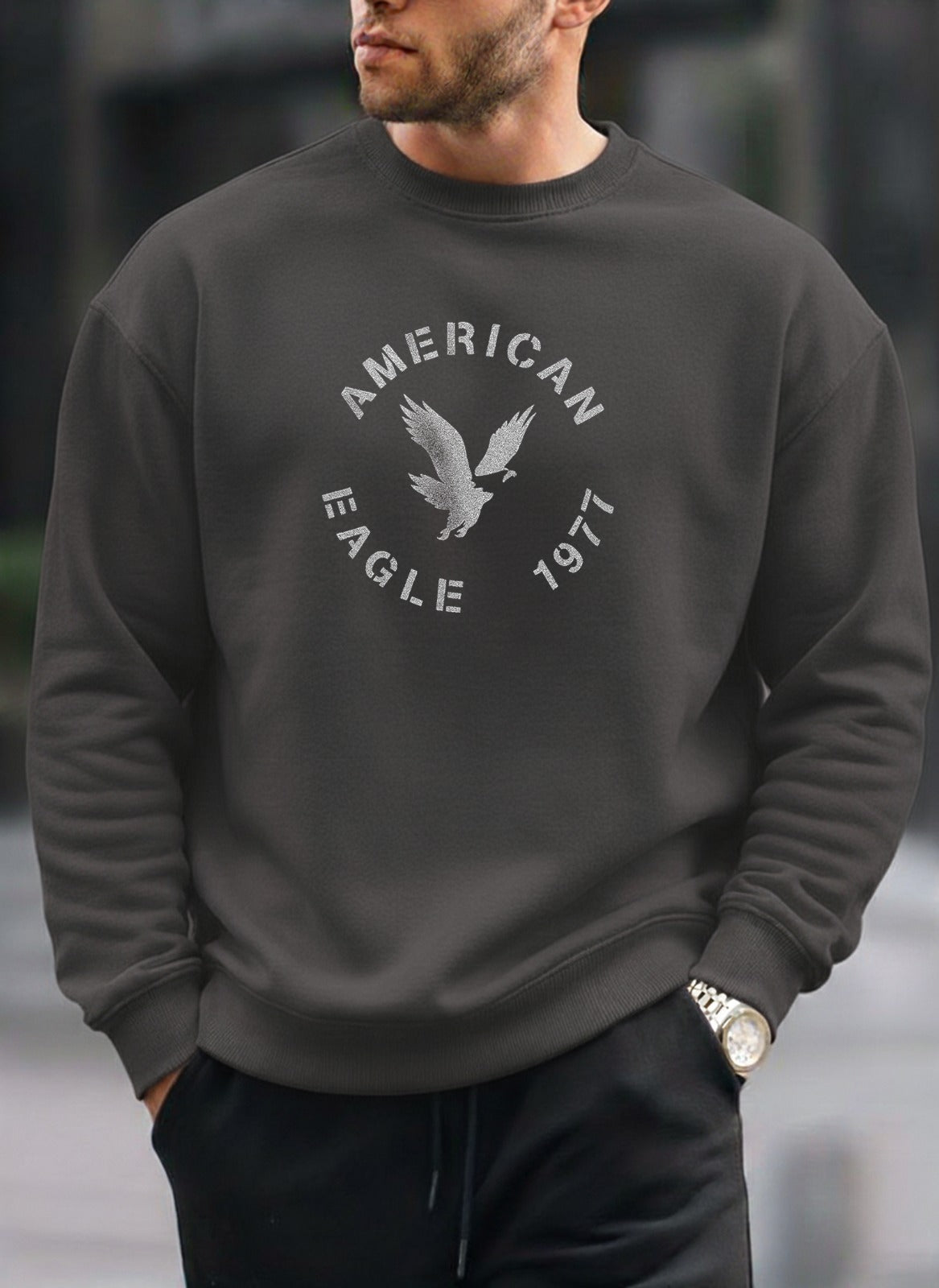 American Eagle 1977 oversized round sweatshirt
